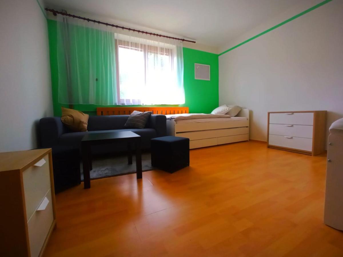 Vila Bělá pod Pradědem Belá pod Pradedem Exterior foto
