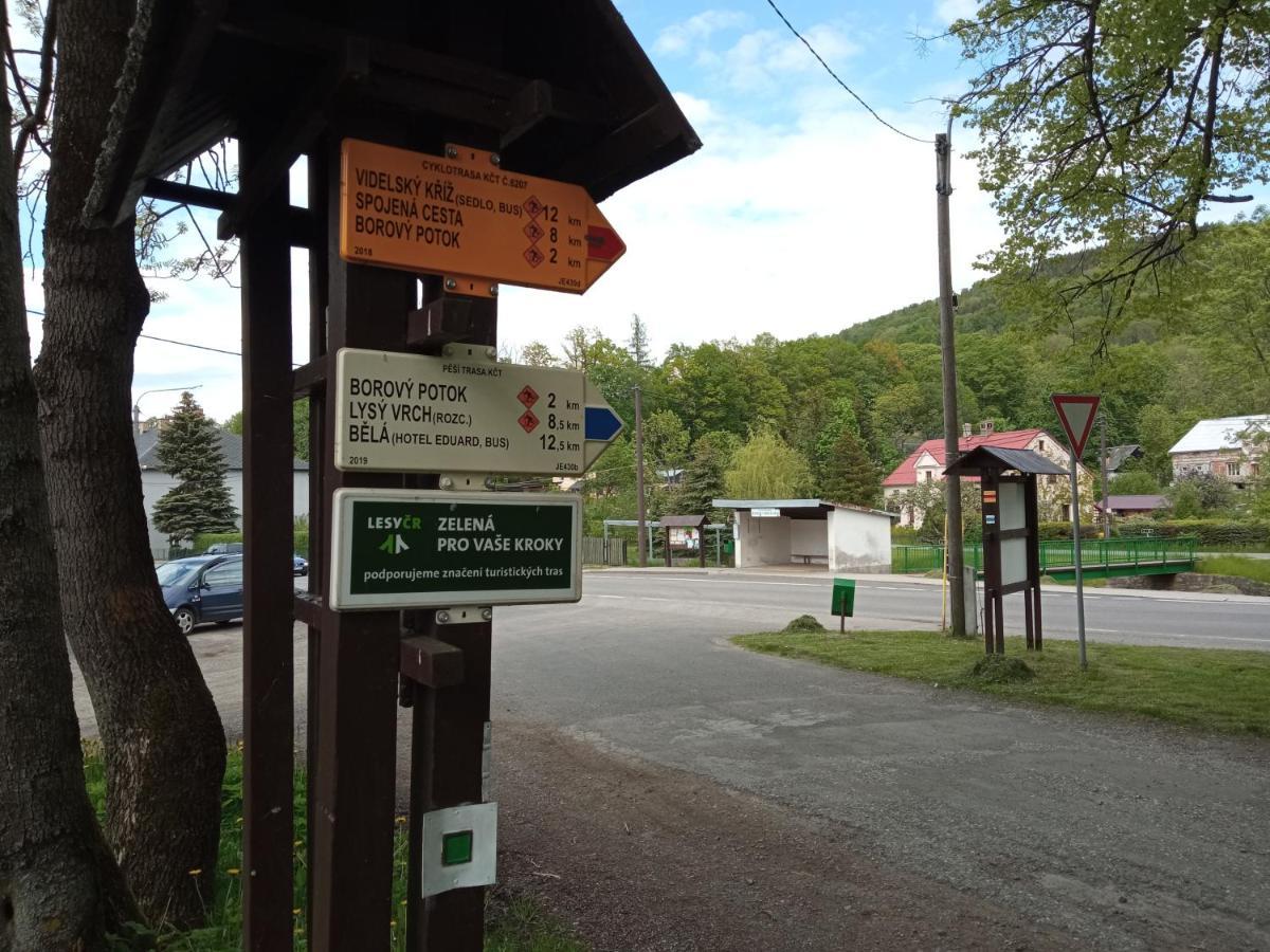 Vila Bělá pod Pradědem Belá pod Pradedem Exterior foto