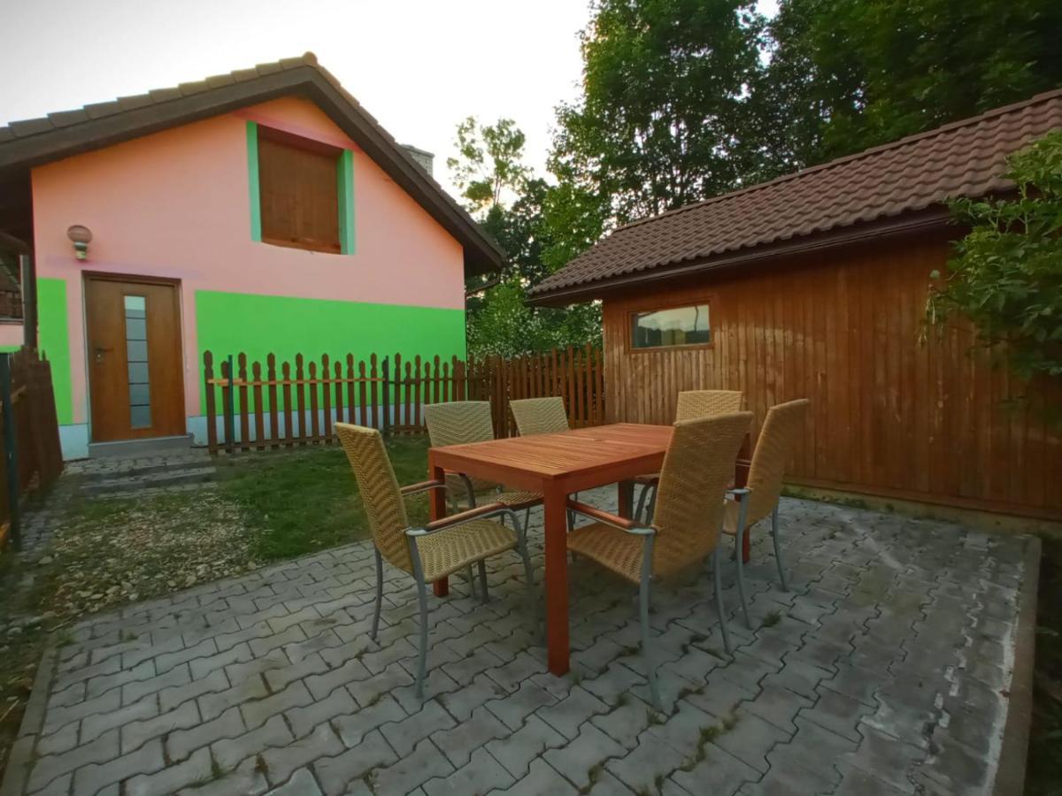 Vila Bělá pod Pradědem Belá pod Pradedem Exterior foto