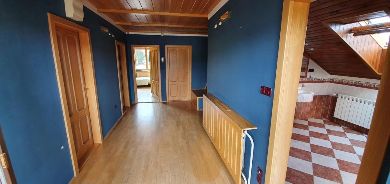 Vila Bělá pod Pradědem Belá pod Pradedem Exterior foto