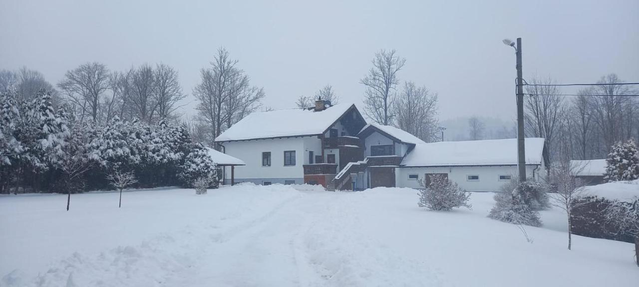 Vila Bělá pod Pradědem Belá pod Pradedem Exterior foto